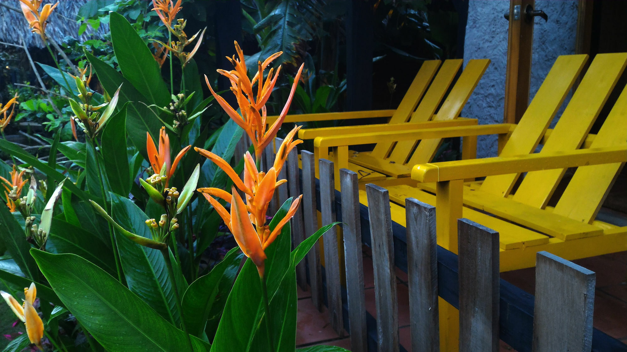 La Paloma Resort Phu Quoc Bagian luar foto